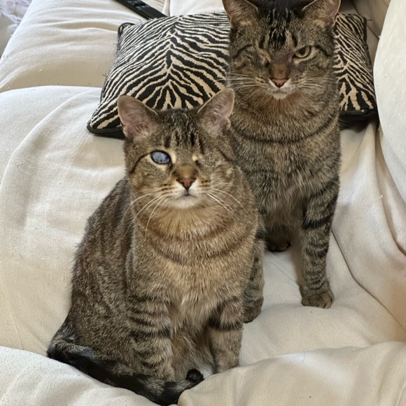 Meet your Posher, Erin - Picture 3 of 10